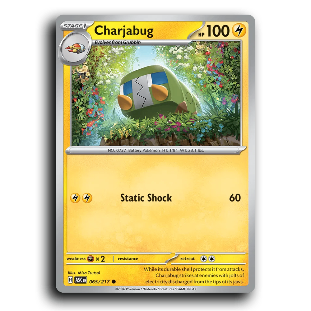 Charjabug 065/217 Ascended Heroes Common Pokemon Card TCG Near Mint NM