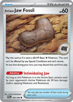 Antique Jaw Fossil [POR - 068/088]
