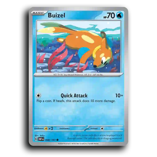 Buizel