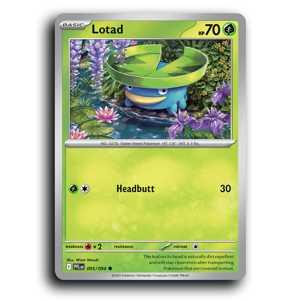 Lotad