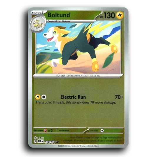 Boltund (031/094) [Phantasmal Flames] Common Pokemon Card TCG Near Mint NM Reverse Holo