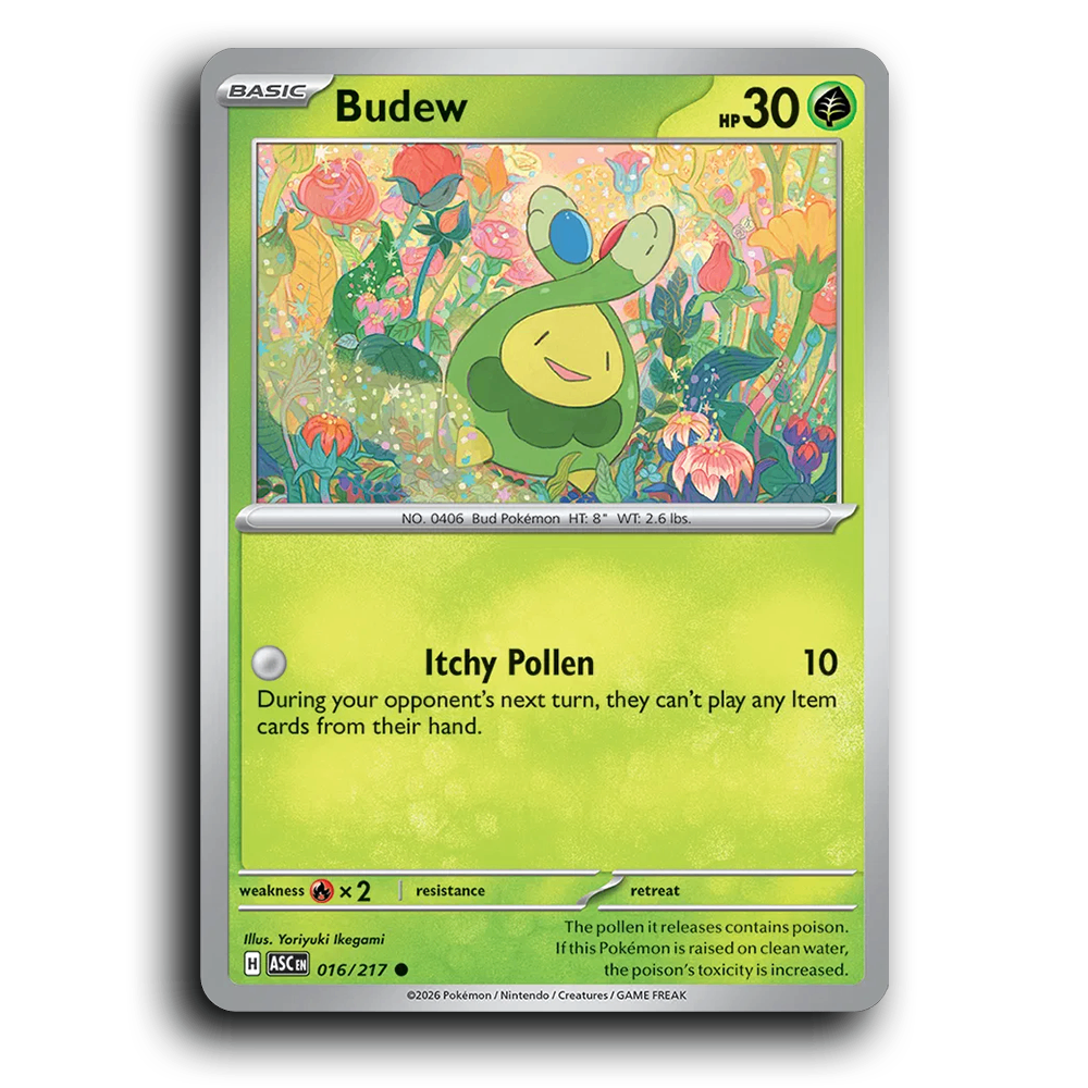 Budew 016/217 Ascended Heroes Common Pokemon Card TCG Near Mint NM