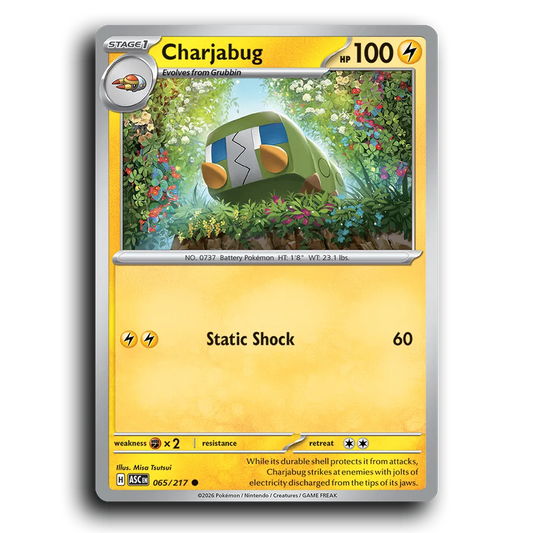 Charjabug 065/217 Ascended Heroes Common Pokemon Card TCG Near Mint NM