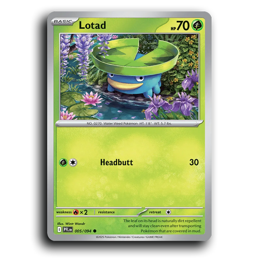 Lotad (005/094) [Phantasmal Flames] Common Pokemon Card TCG Near Mint NM