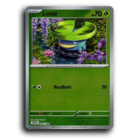 Lotad (005/094) [Phantasmal Flames] Common Pokemon Card TCG Near Mint NM Reverse Holo