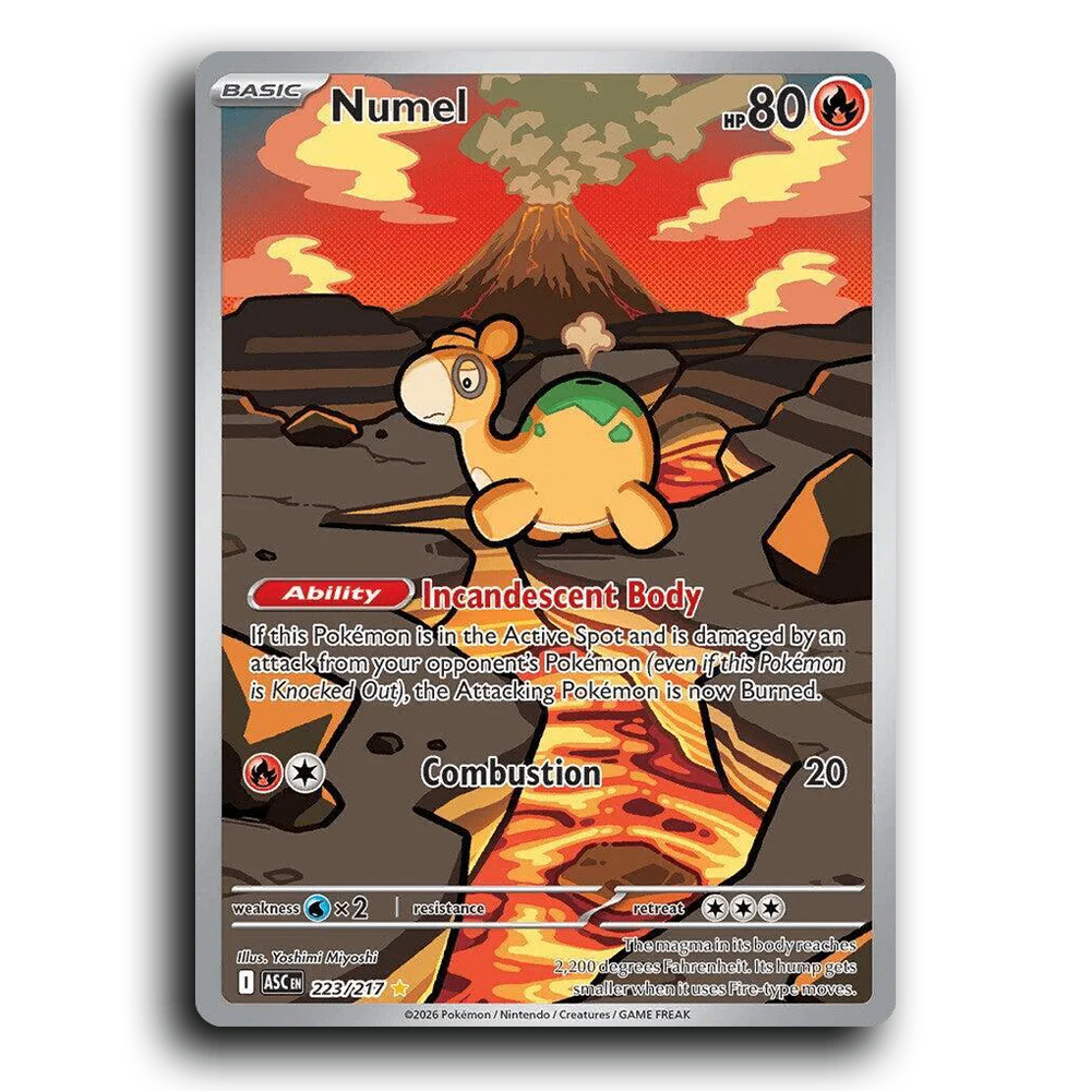 Numel 223/217 Ascended Heroes Illustration Rare Pokemon Card TCG Near Mint NM Holofoil