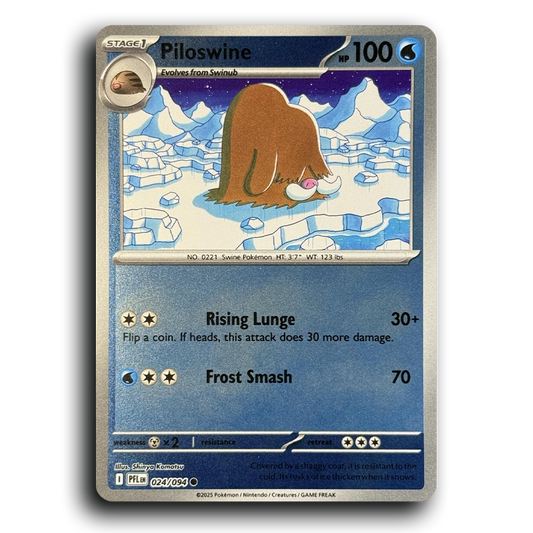 Piloswine (024/094) [Phantasmal Flames] Common Pokemon Card TCG Near Mint NM Reverse Holo