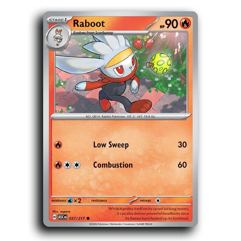 Raboot 037/217 Ascended Heroes Common Pokemon Card TCG Near Mint NM