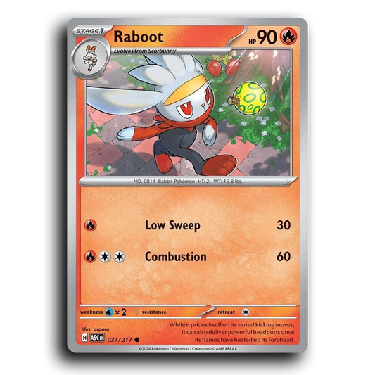 Raboot 037/217 Ascended Heroes Common Pokemon Card TCG Near Mint NM