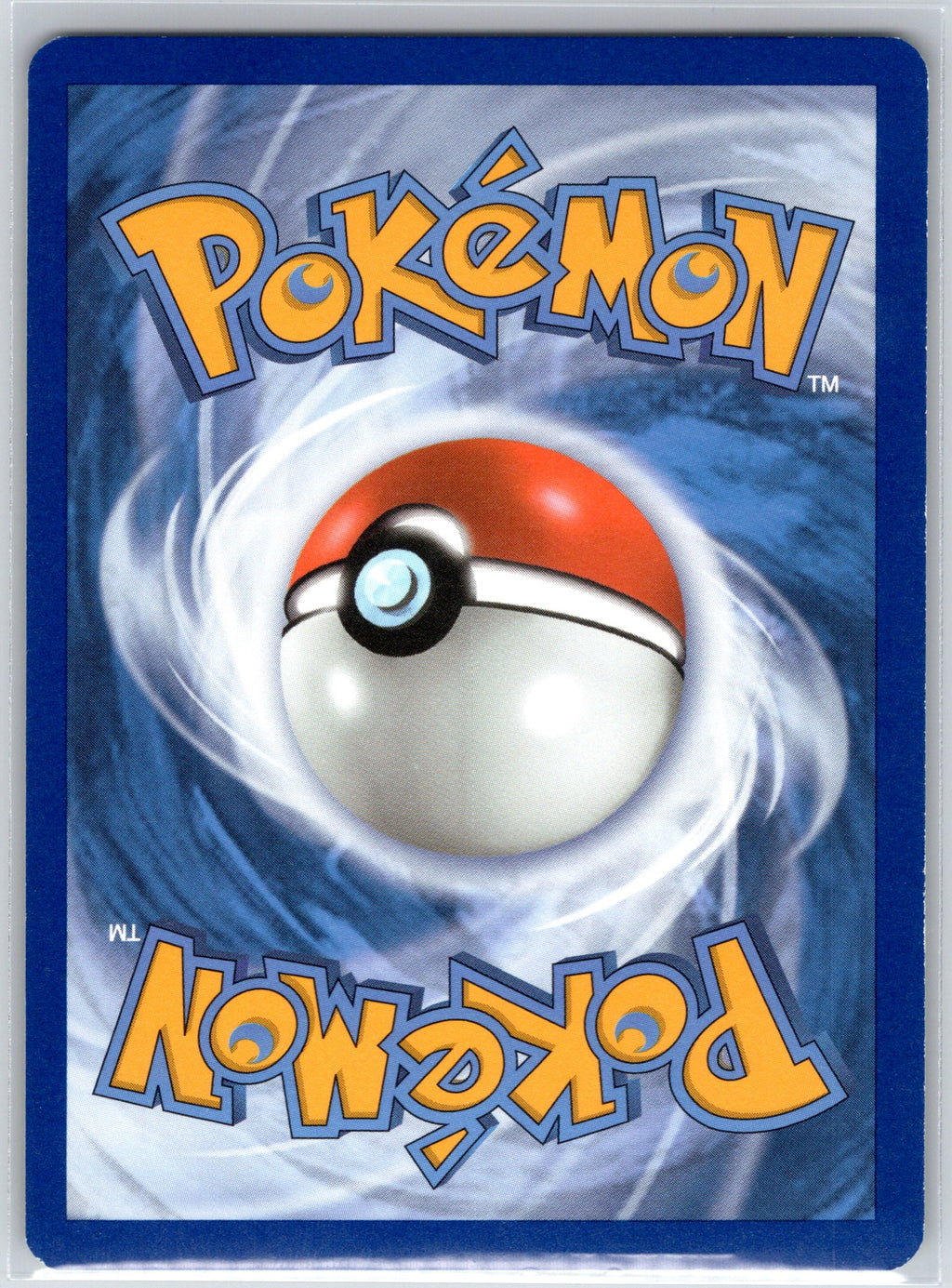Ursaring (Back)