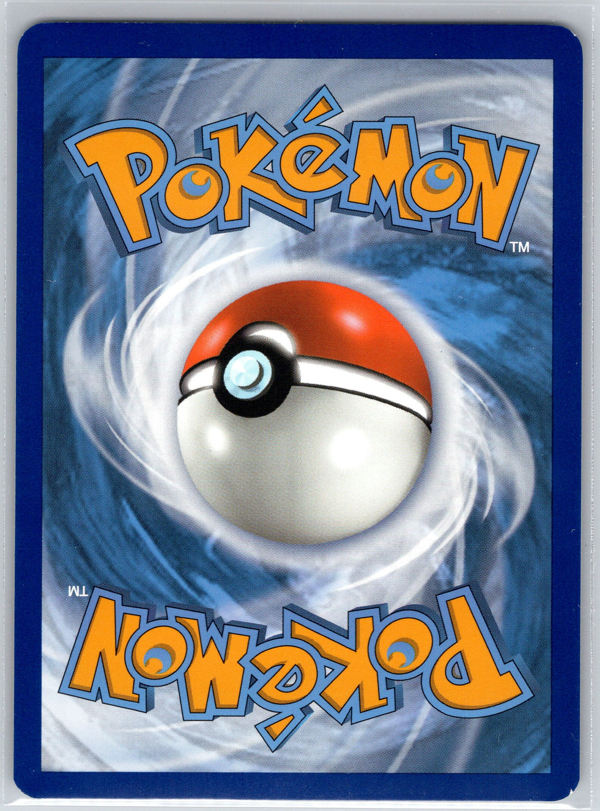 Brock's Training (Back)