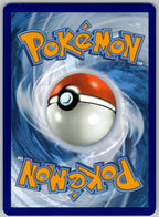 Gym Trainer (Back) | Near Mint / English / Normal