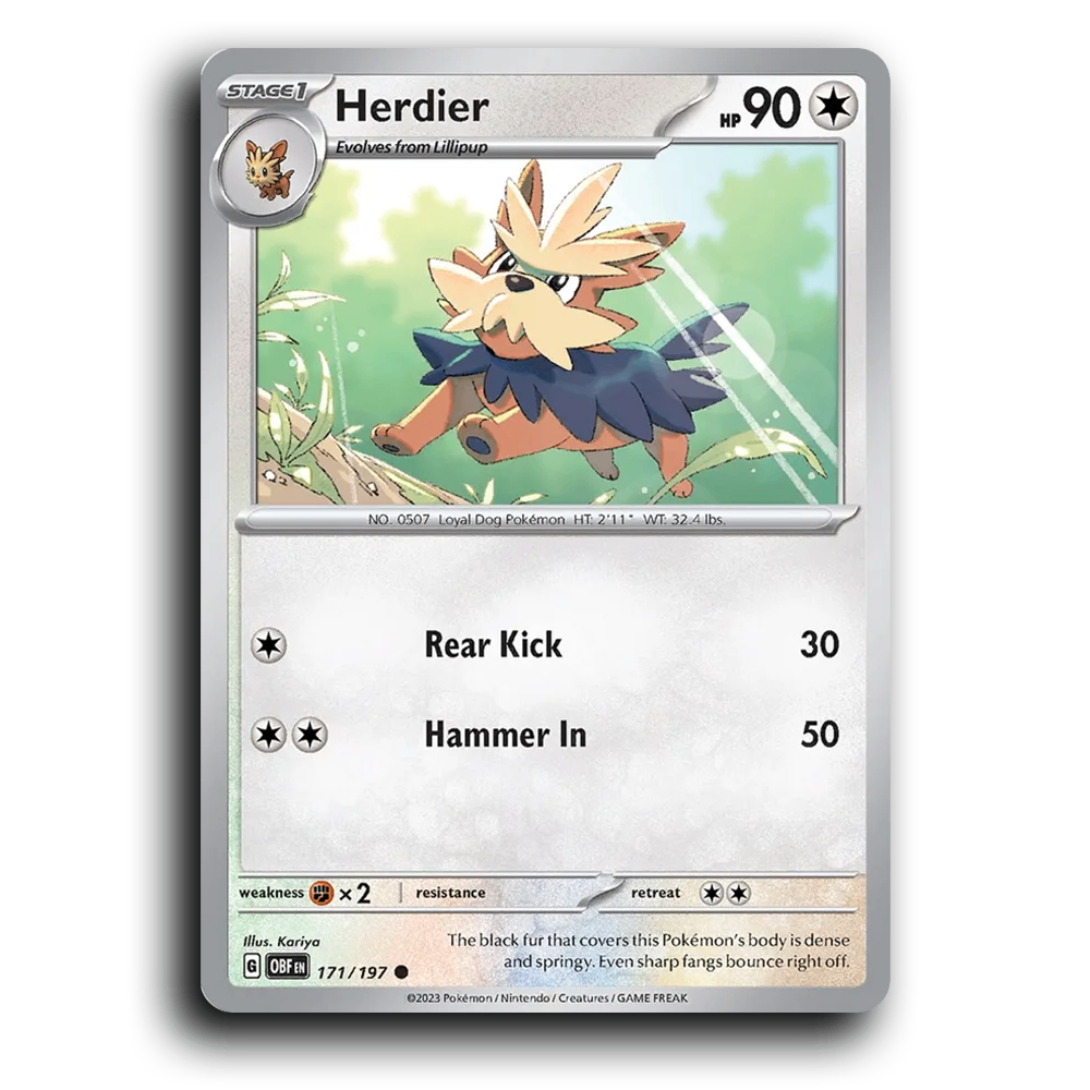 Herdier (171/197) [Obsidian Flames] 2023 G Common English Kariya Colorless OBF Stage 1 Loyal Dog Pokémon Pokemon Card TCG Near Mint NM