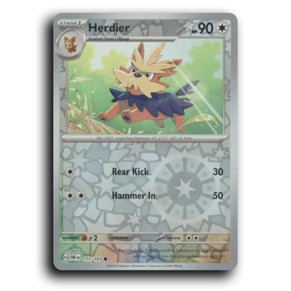 Herdier (171/197) [Obsidian Flames] 2023 G Common English Kariya Colorless OBF Stage 1 Loyal Dog Pokémon Pokemon Card TCG Near Mint NM Reverse Holo