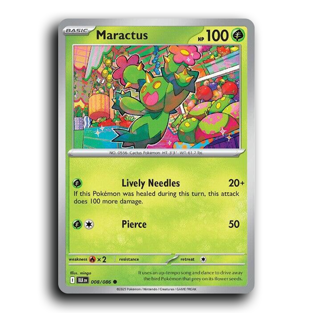 Maractus