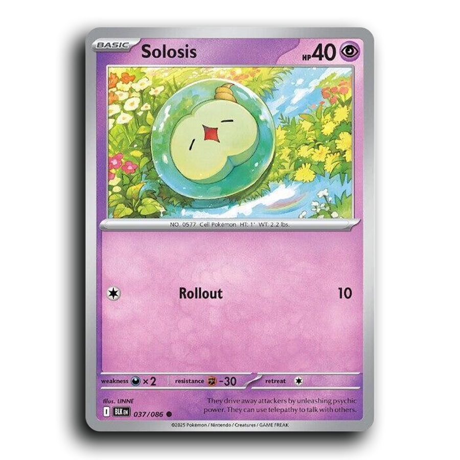 SortSwift stock scan | Near Mint / English / Normal