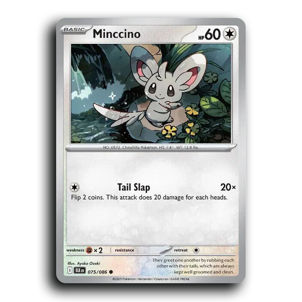 Minccino