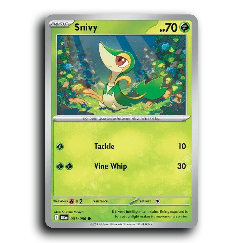 SortSwift stock scan | Near Mint / English / Holofoil