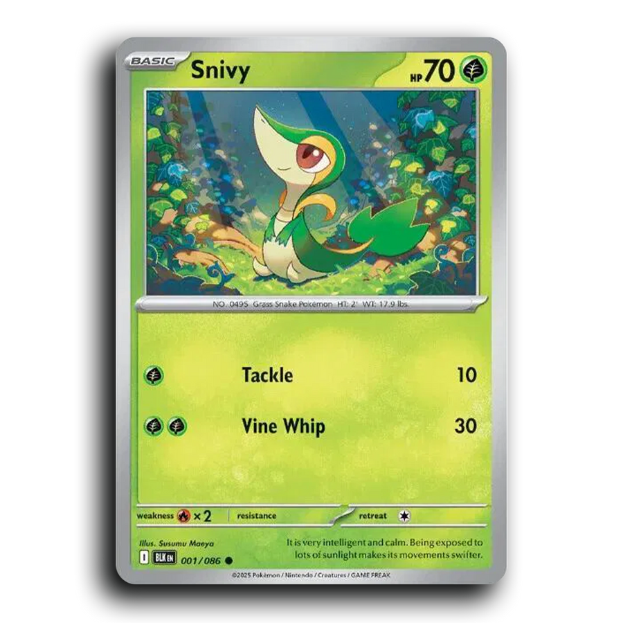SortSwift stock scan | Near Mint / English / Holofoil