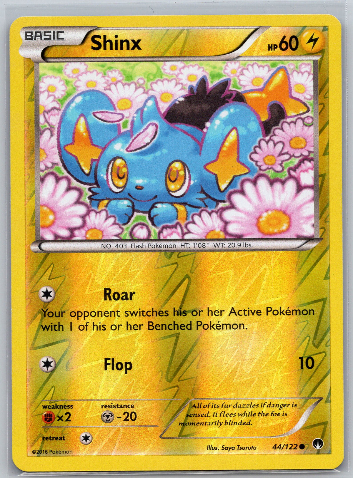 Shinx