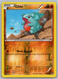 Gible
