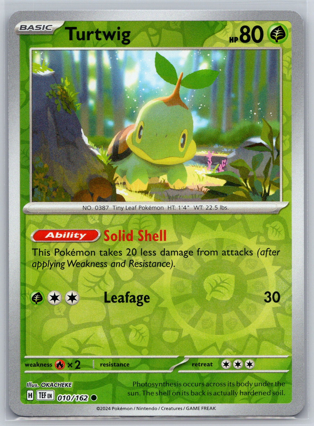 Turtwig