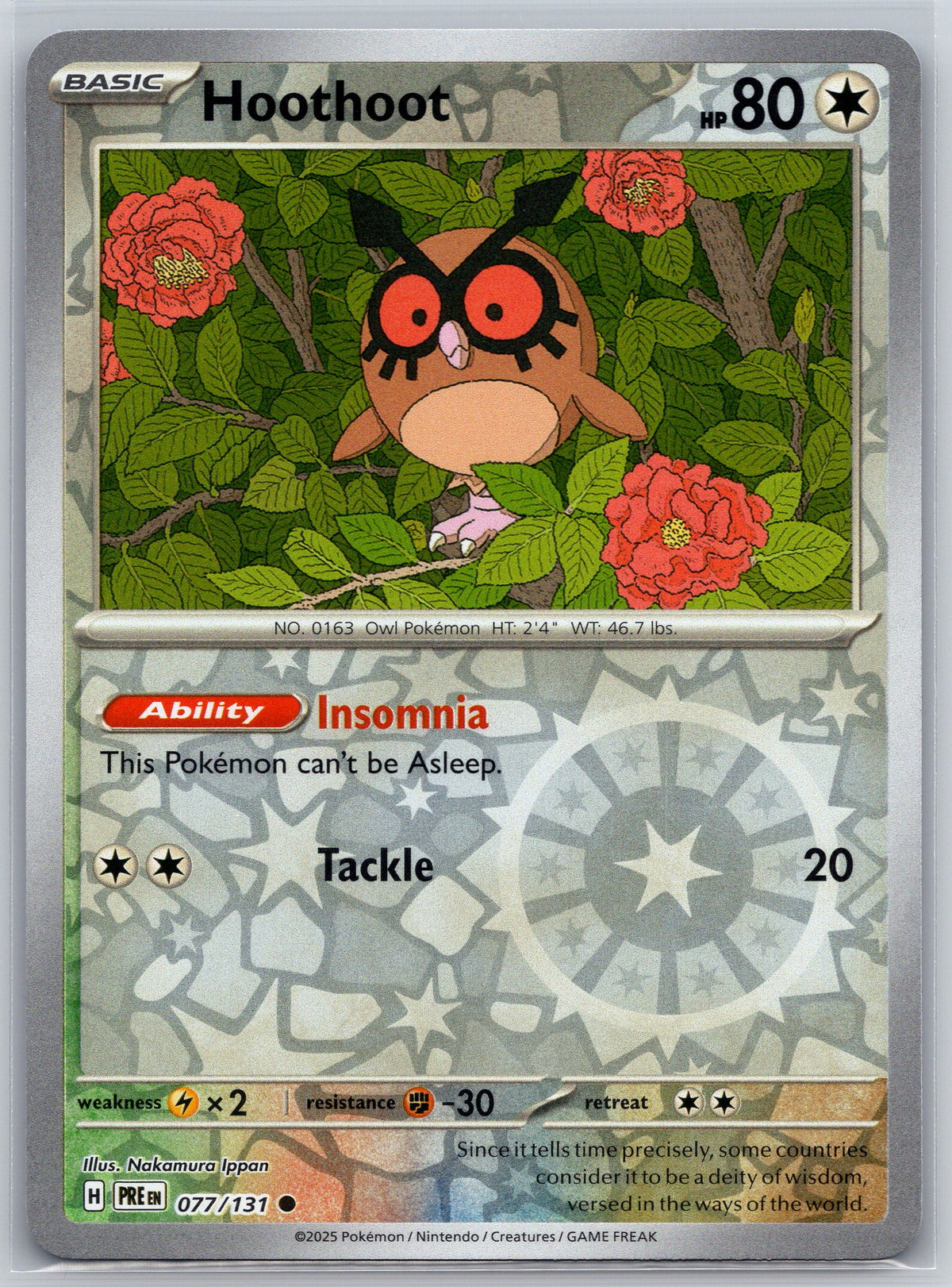 Hoothoot
