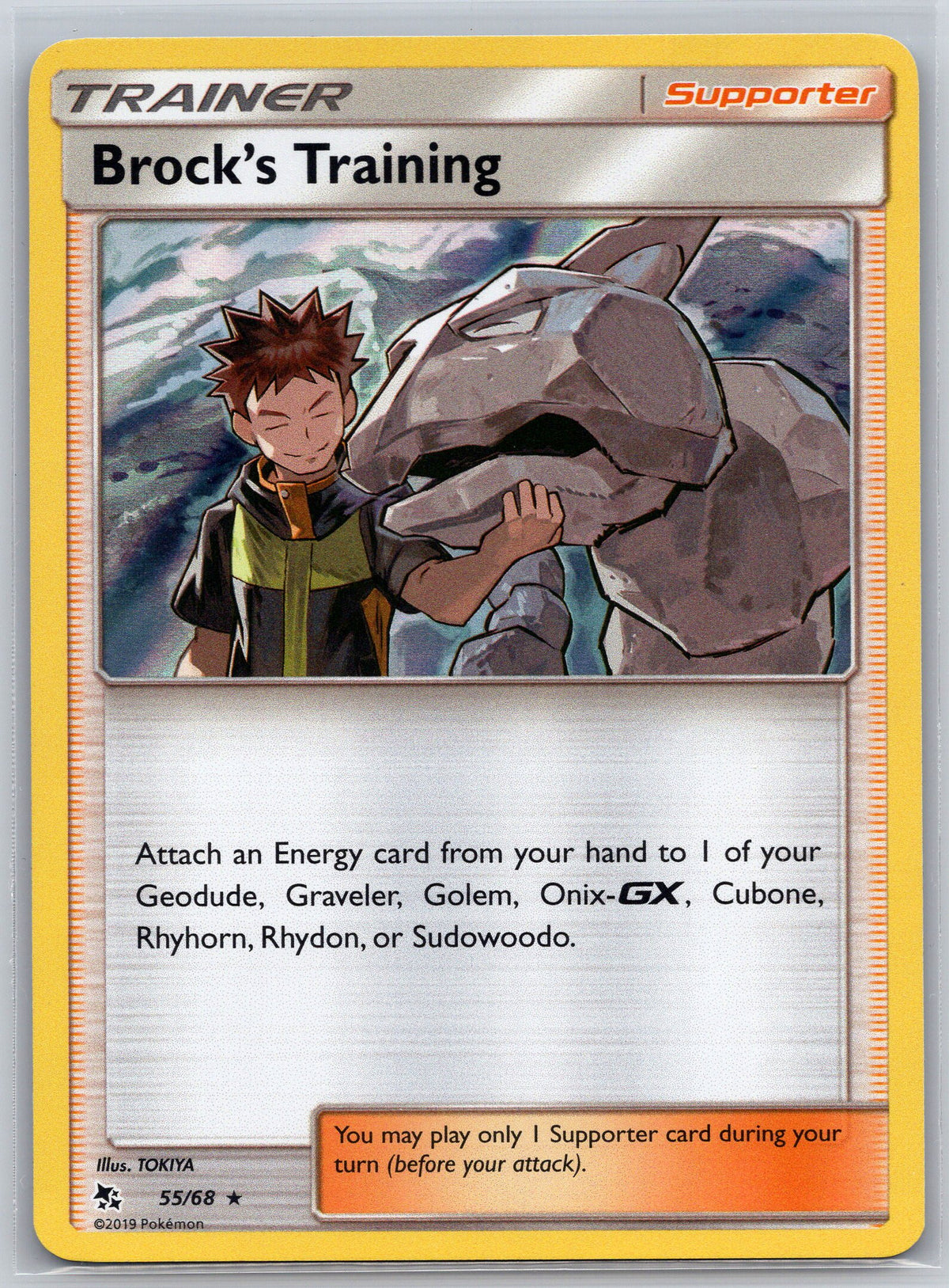 Brock's Training