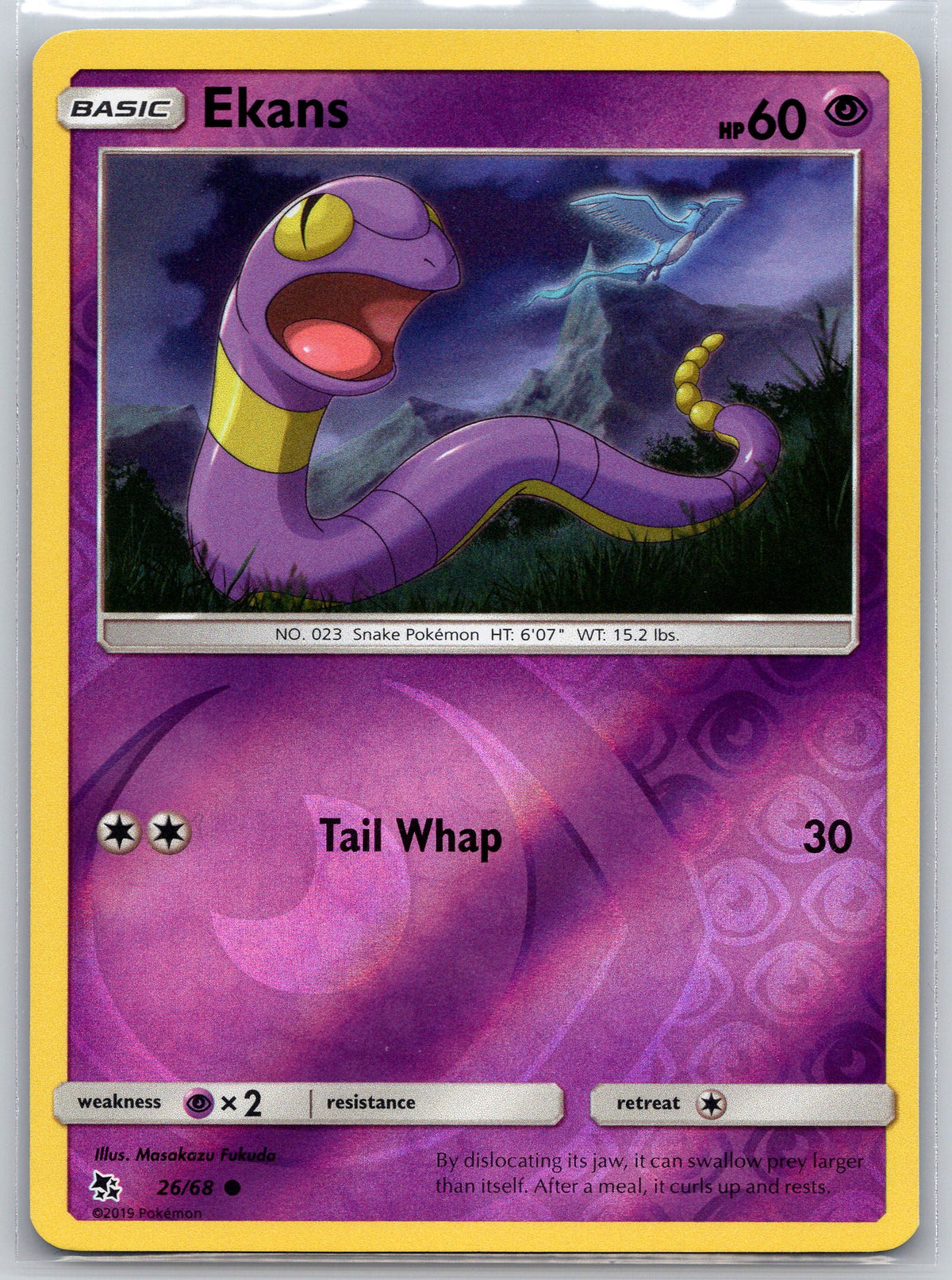 Ekans (26)