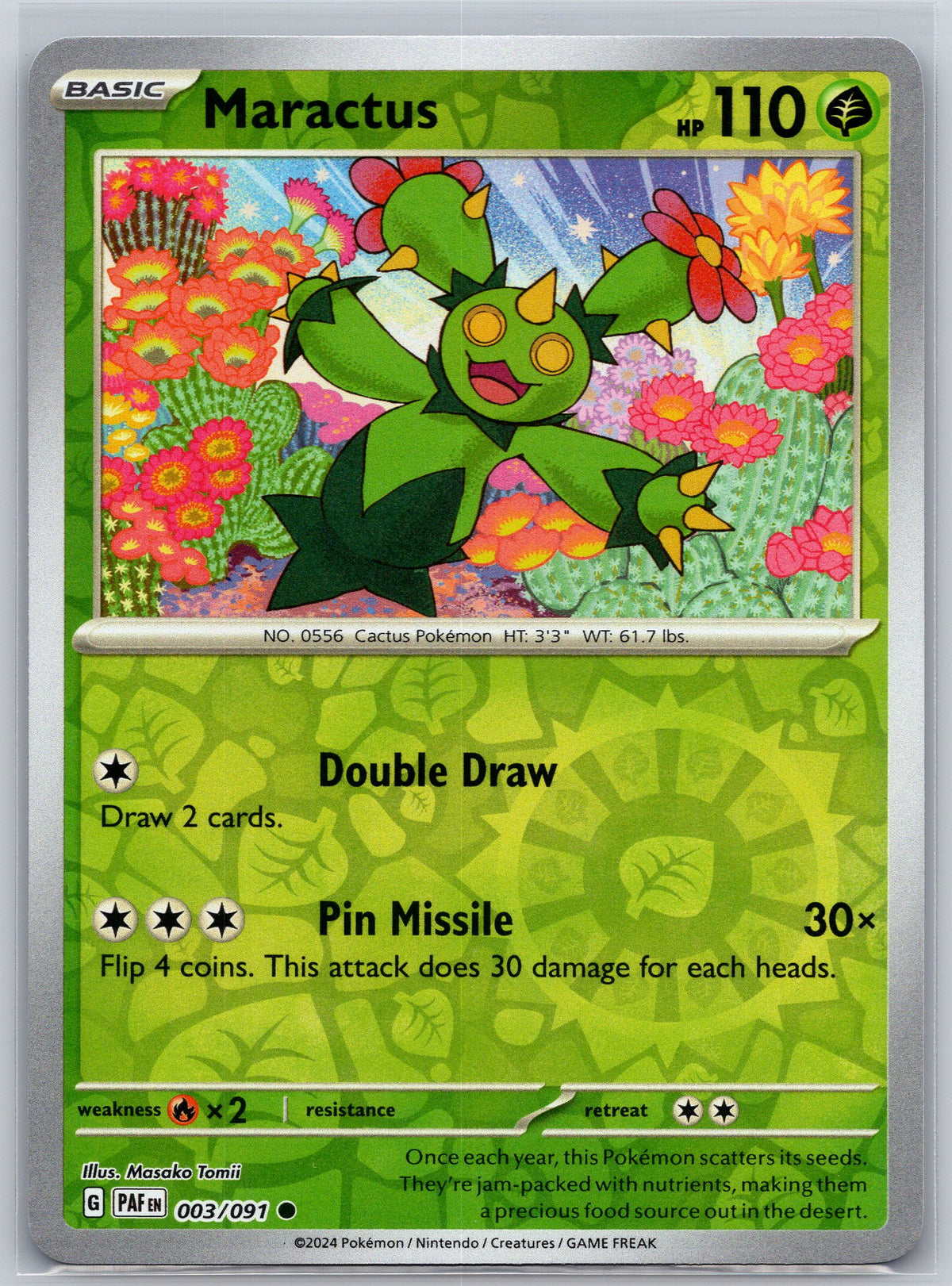 Maractus