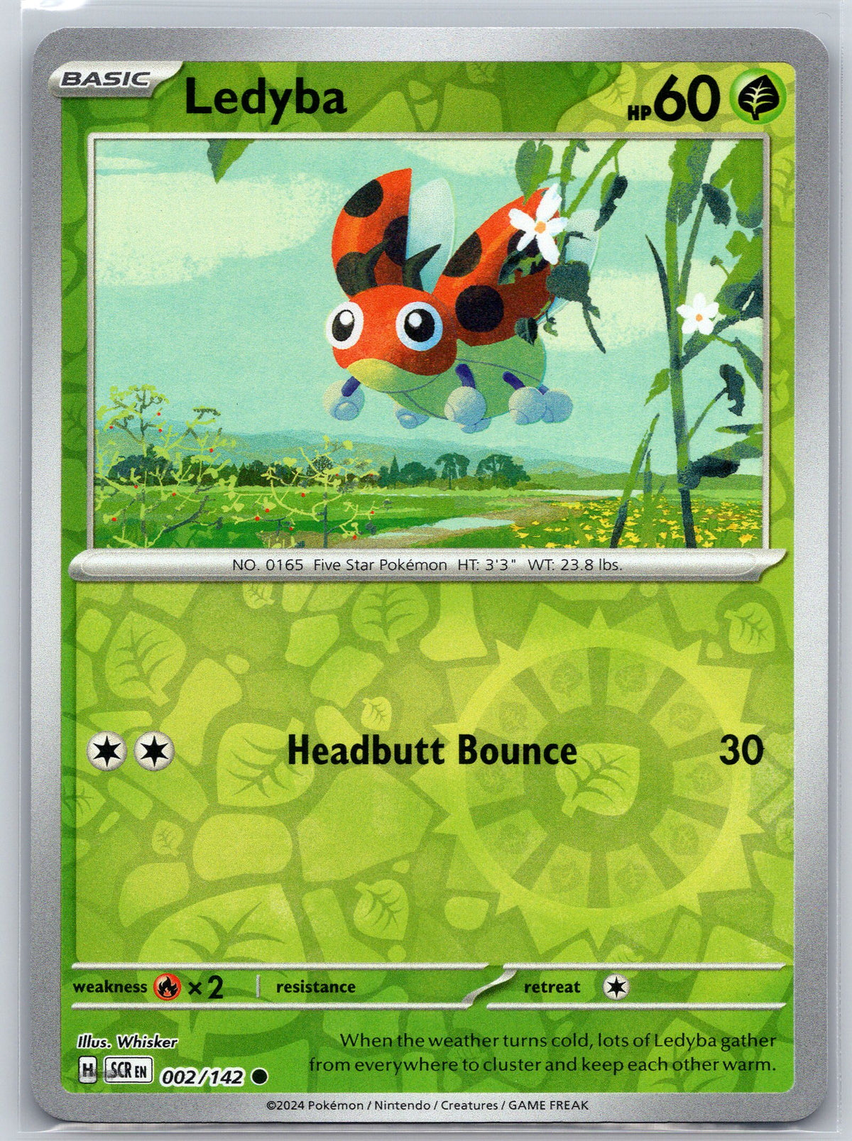 Ledyba