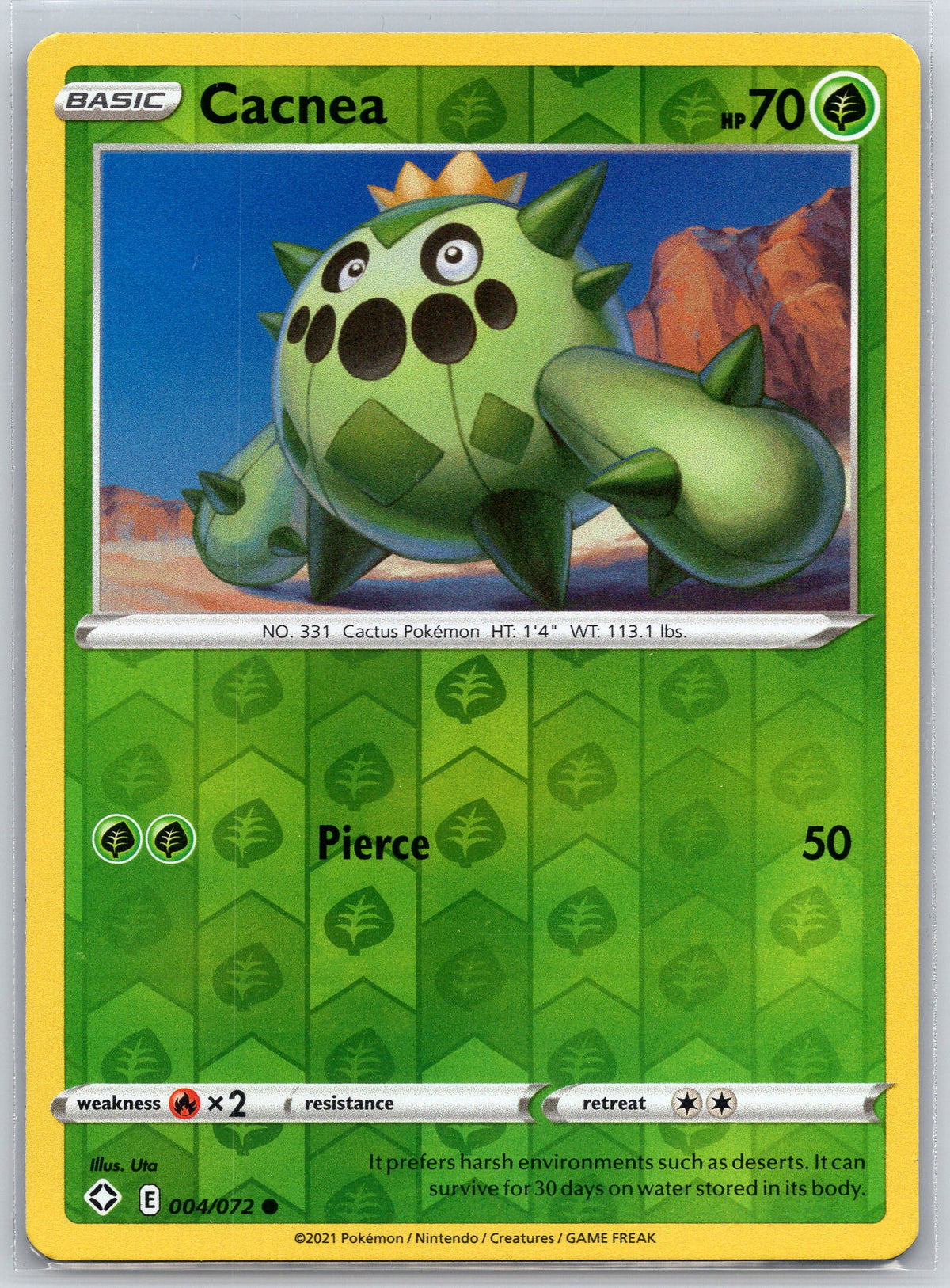 Cacnea