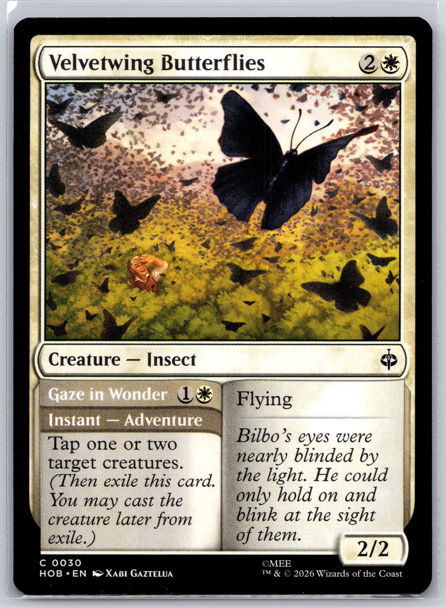 Velvetwing Butterflies