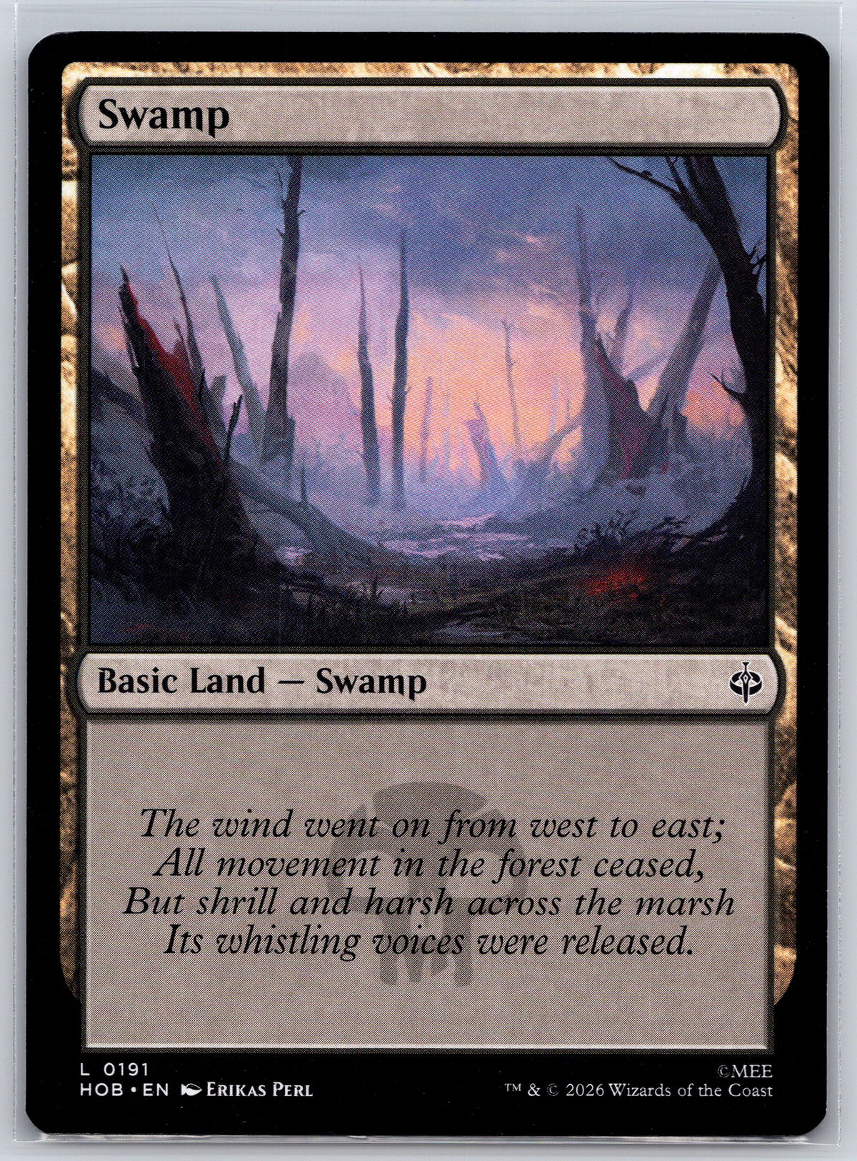 Swamp (0191)