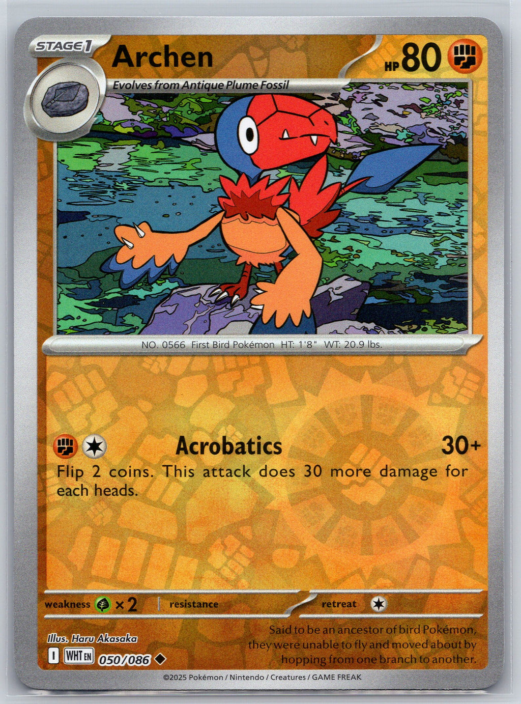 Archen