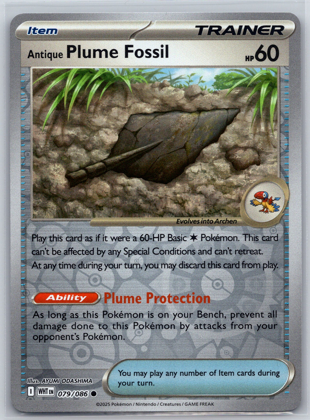 Antique Plume Fossil