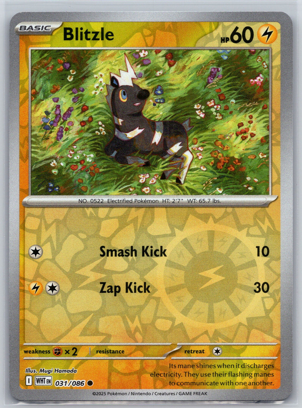 Blitzle