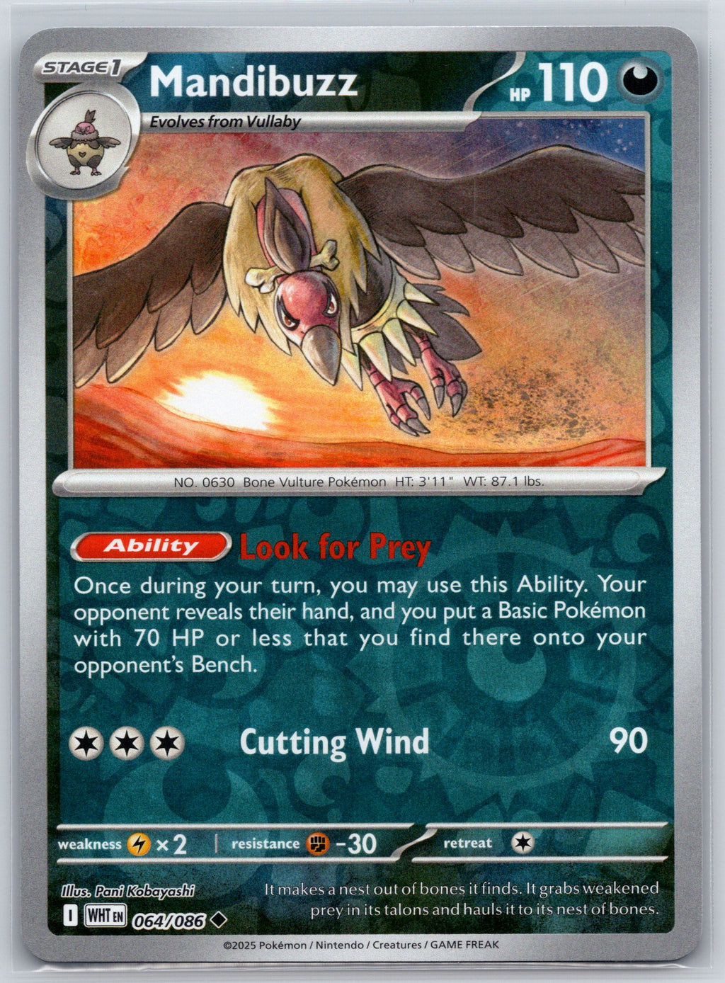 Mandibuzz