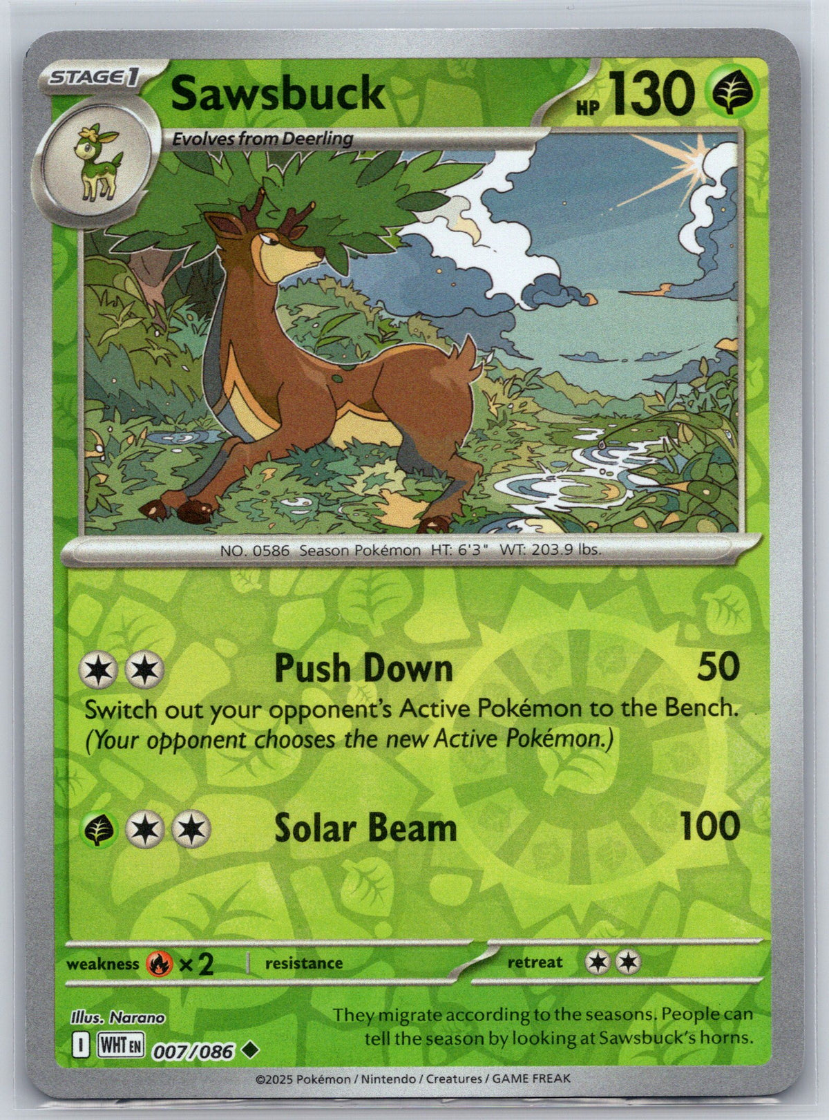 Sawsbuck