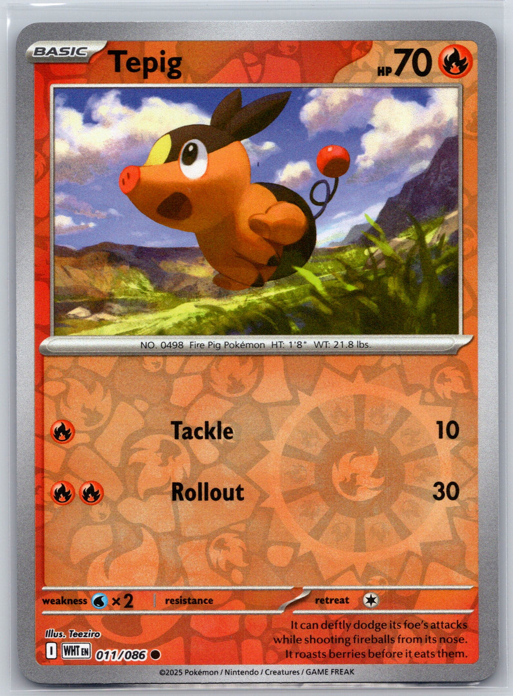 Tepig
