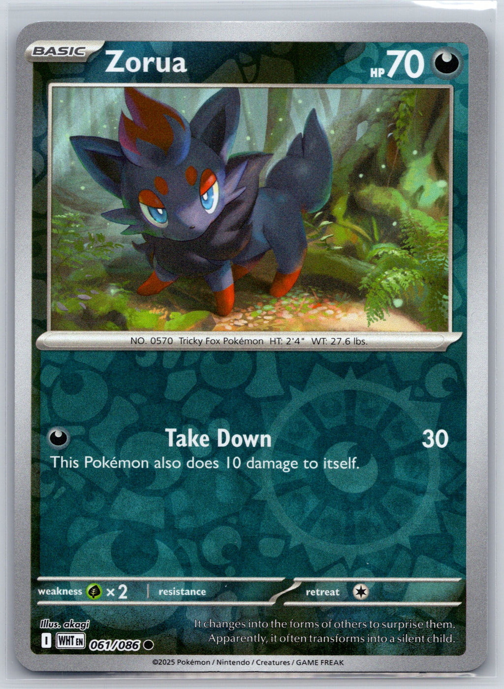 Zorua