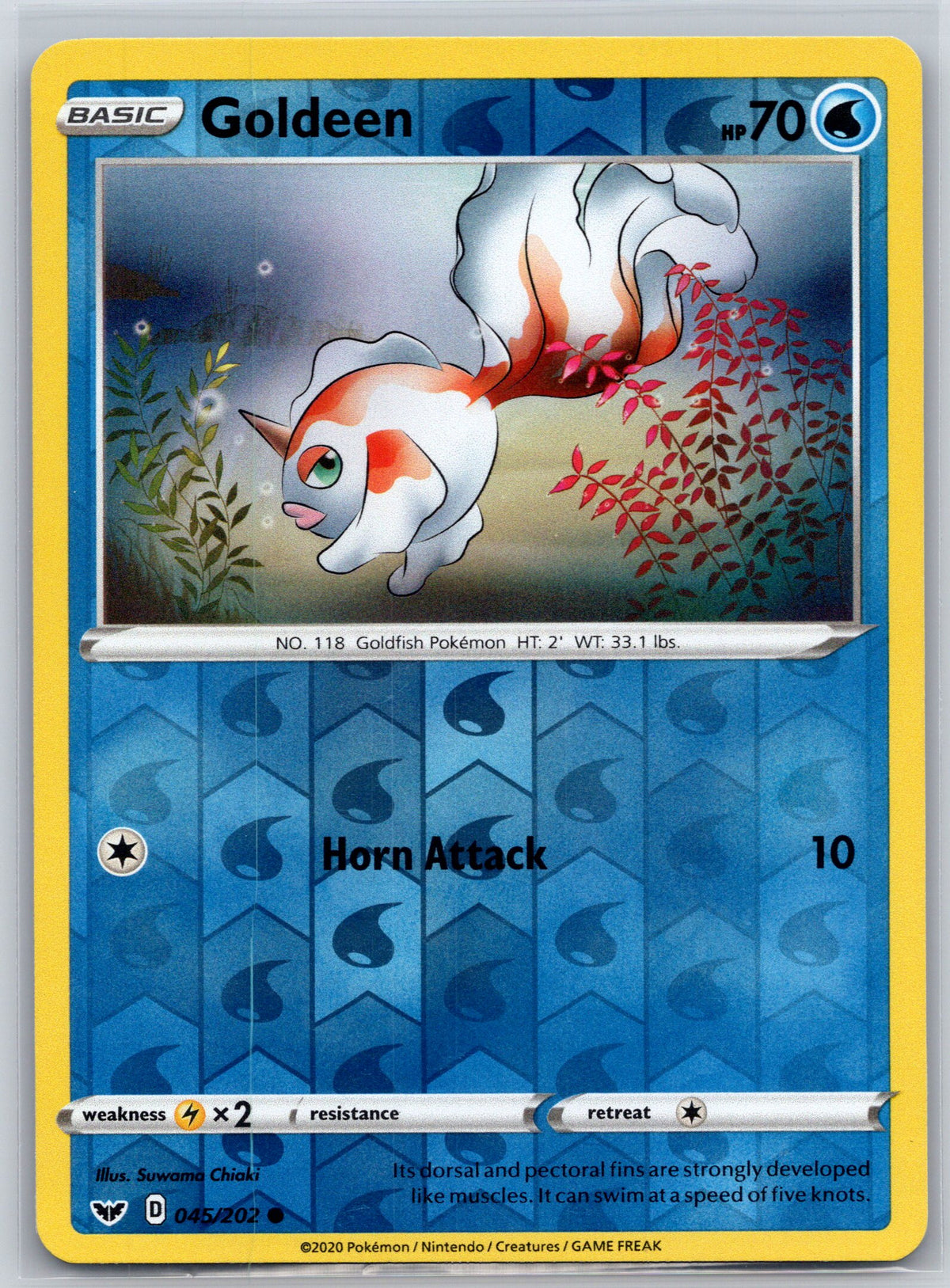 Goldeen (045)