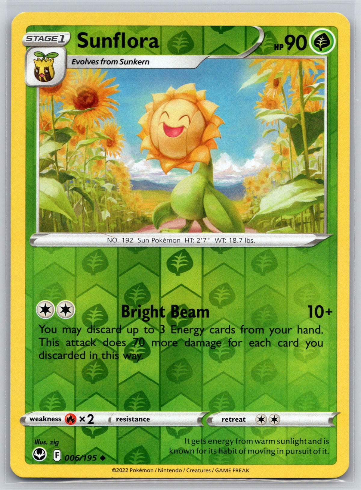Sunflora