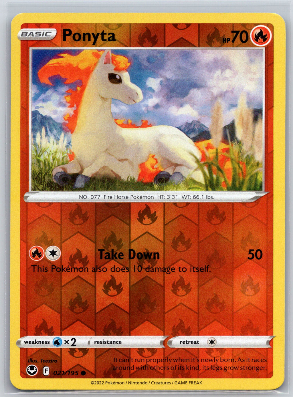 Ponyta