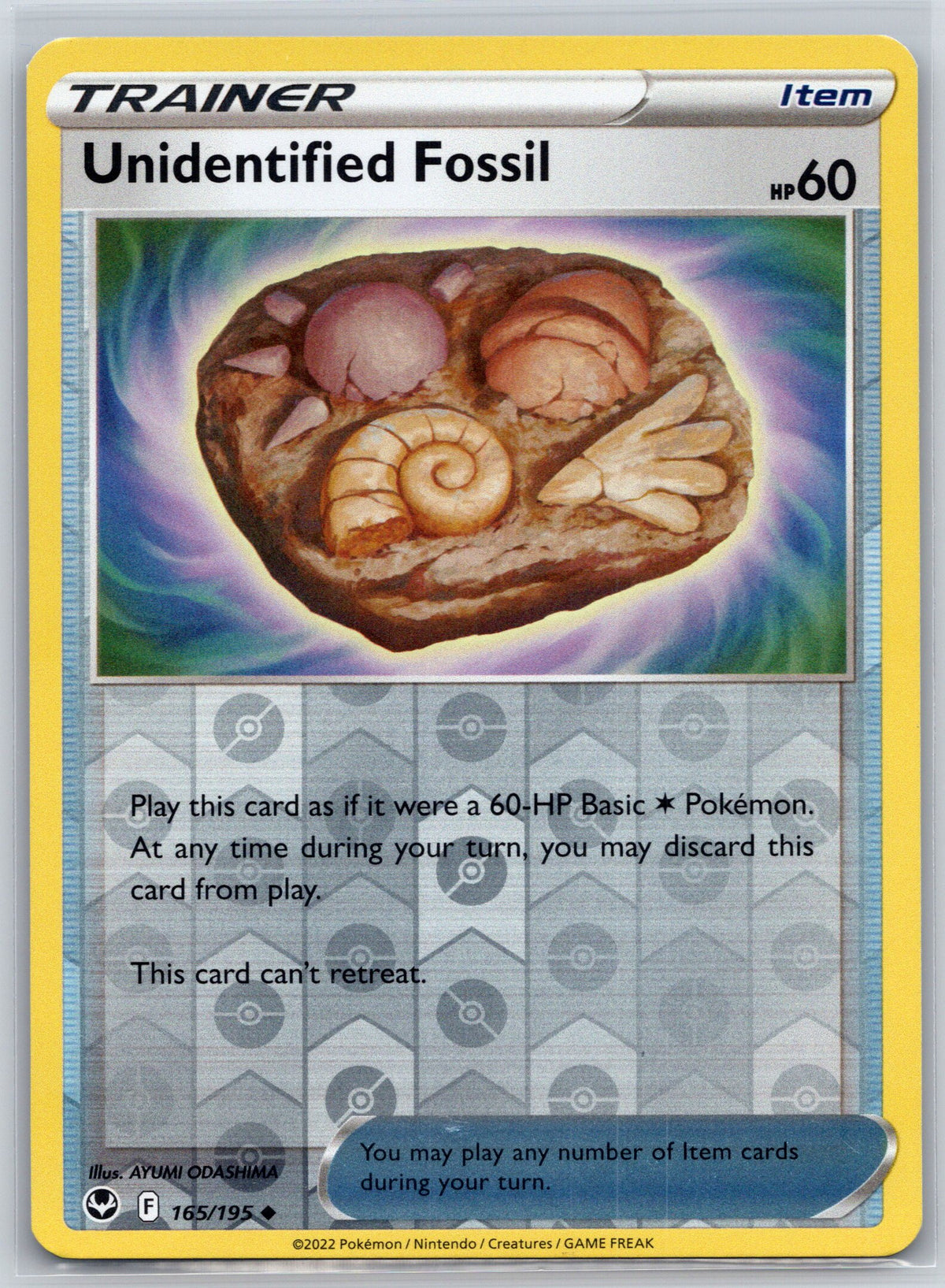 Unidentified Fossil