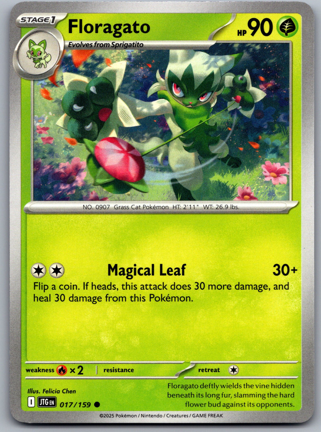 Floragato