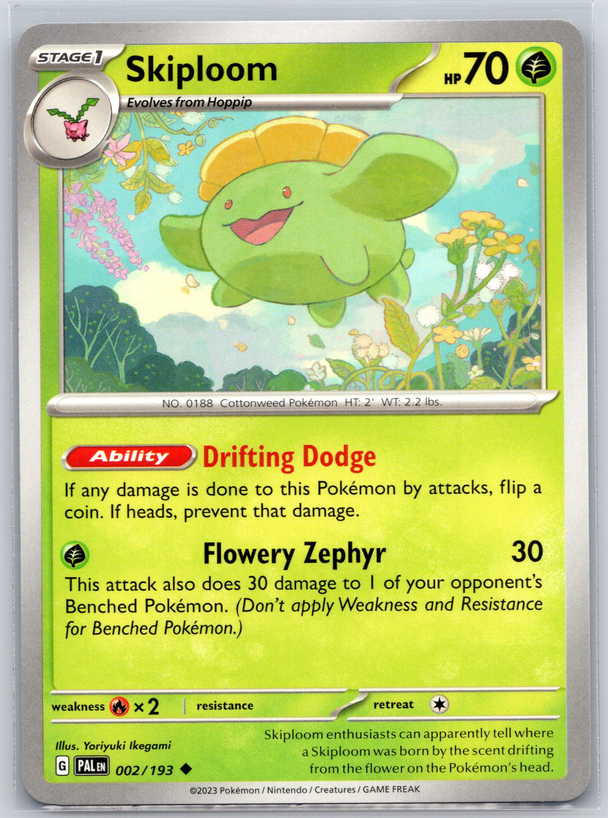 Skiploom
