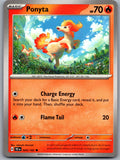Ponyta