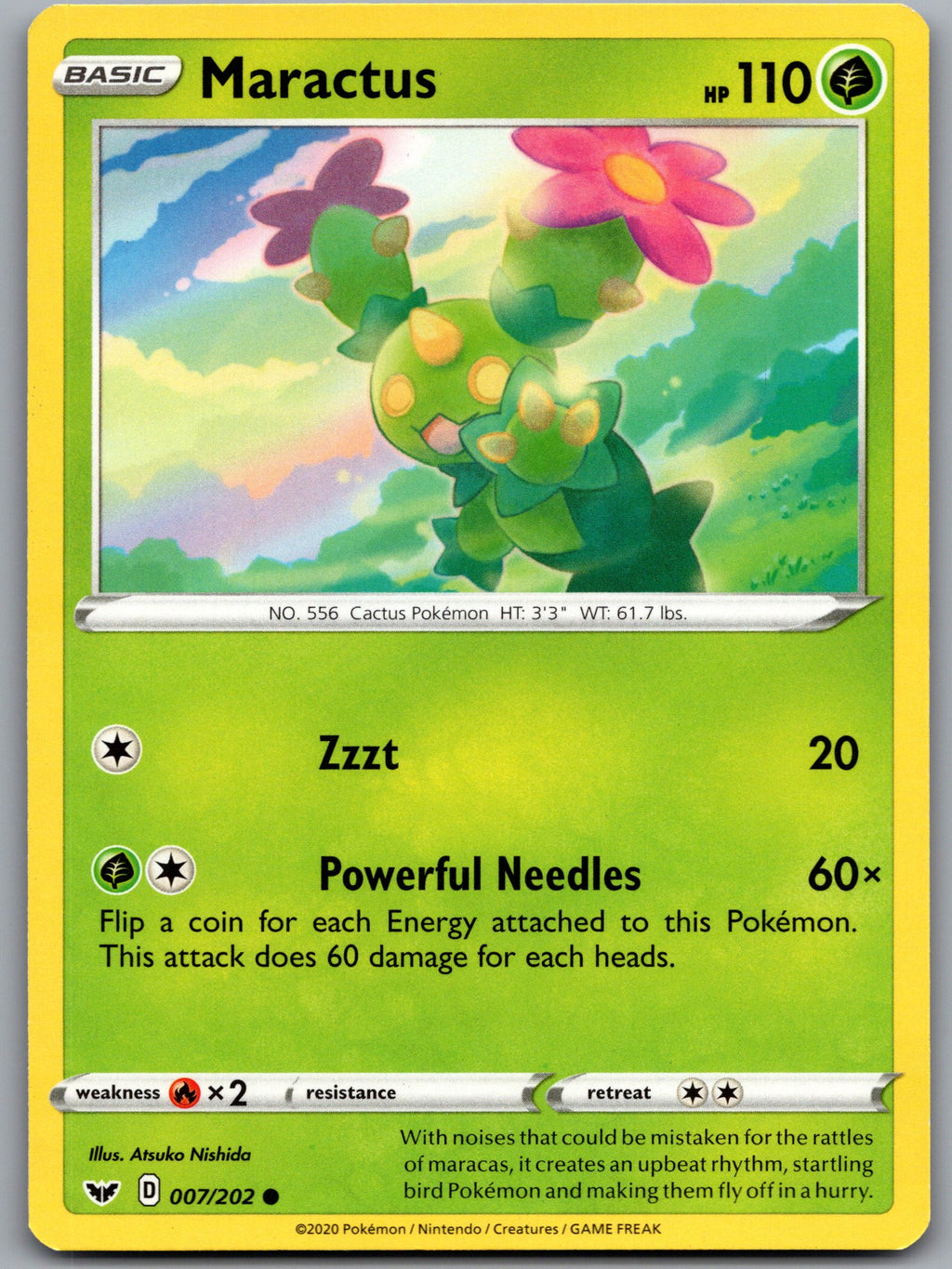 Maractus