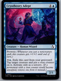 Cryotheory Adept